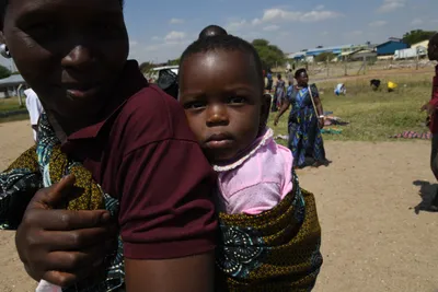 DSC_3326 (Large).JPG